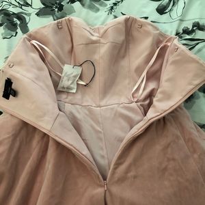 NWT TB Blush Janini Strapless Velvet Dress